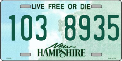 NH license plate 1038935