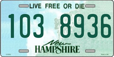 NH license plate 1038936