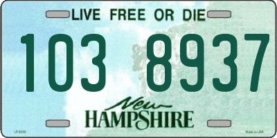NH license plate 1038937