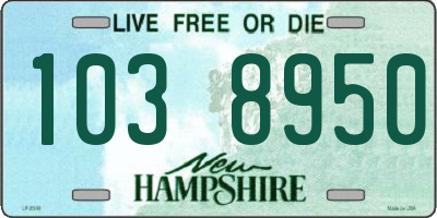 NH license plate 1038950
