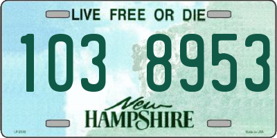 NH license plate 1038953