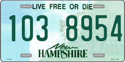 NH license plate 1038954
