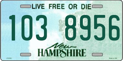 NH license plate 1038956