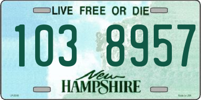 NH license plate 1038957