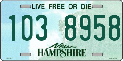 NH license plate 1038958