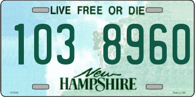NH license plate 1038960