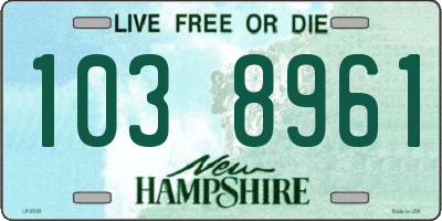 NH license plate 1038961