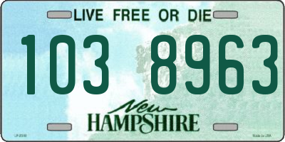 NH license plate 1038963
