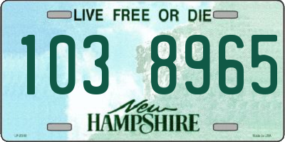 NH license plate 1038965
