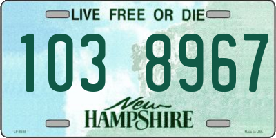 NH license plate 1038967