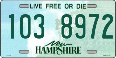 NH license plate 1038972