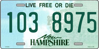 NH license plate 1038975