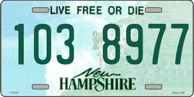 NH license plate 1038977