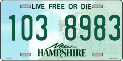 NH license plate 1038983