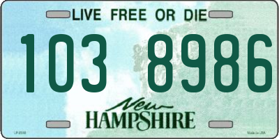 NH license plate 1038986