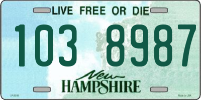 NH license plate 1038987