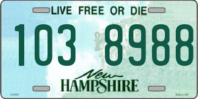 NH license plate 1038988