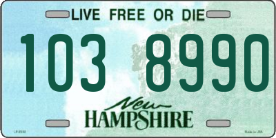 NH license plate 1038990