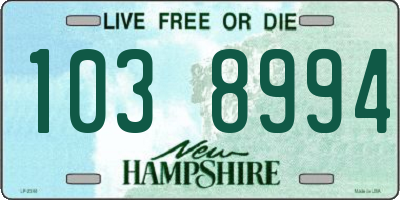 NH license plate 1038994