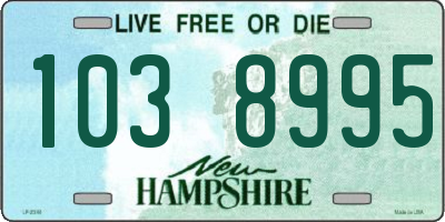 NH license plate 1038995