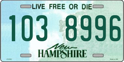 NH license plate 1038996