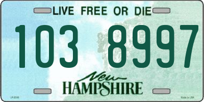 NH license plate 1038997