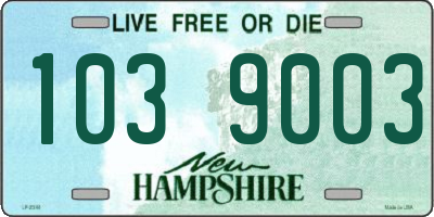 NH license plate 1039003