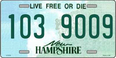 NH license plate 1039009