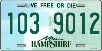 NH license plate 1039012