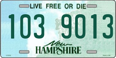 NH license plate 1039013