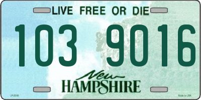 NH license plate 1039016