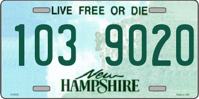 NH license plate 1039020
