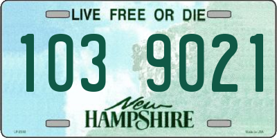 NH license plate 1039021