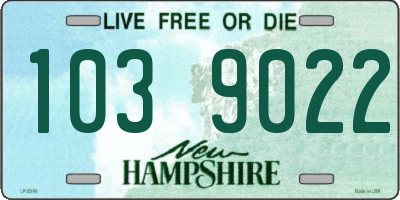 NH license plate 1039022