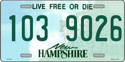 NH license plate 1039026
