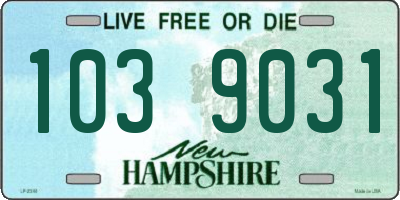 NH license plate 1039031