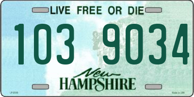 NH license plate 1039034