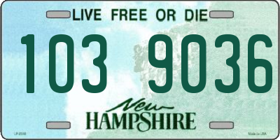 NH license plate 1039036