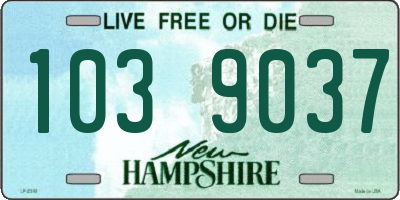 NH license plate 1039037