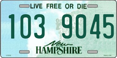 NH license plate 1039045