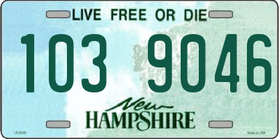 NH license plate 1039046
