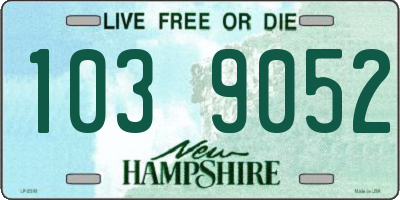 NH license plate 1039052