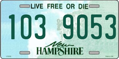 NH license plate 1039053