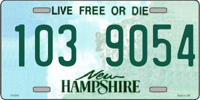 NH license plate 1039054