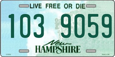 NH license plate 1039059