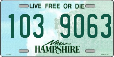 NH license plate 1039063