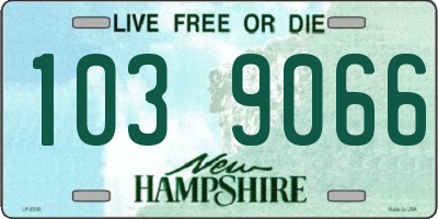NH license plate 1039066
