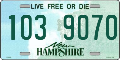 NH license plate 1039070