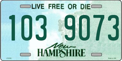 NH license plate 1039073