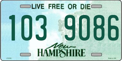 NH license plate 1039086